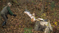 zoo pelikáni PER9559